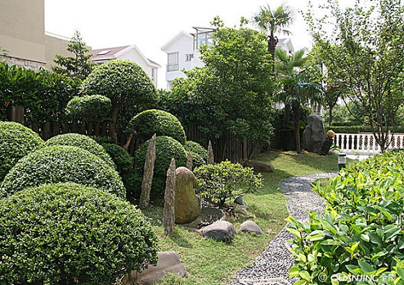 小区绿化设计