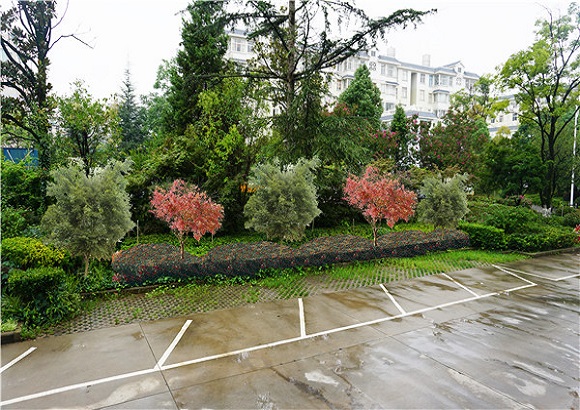 办公庭院绿化设计