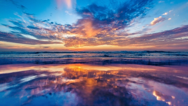 九游会国际：园林绿化沙坑