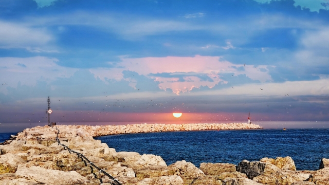 九游会公司：园林绿化乔木的株距