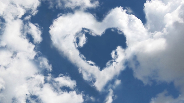 九游会：园林绿化土成份是什么