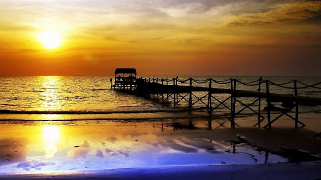 九游会公司：园林绿化红色球