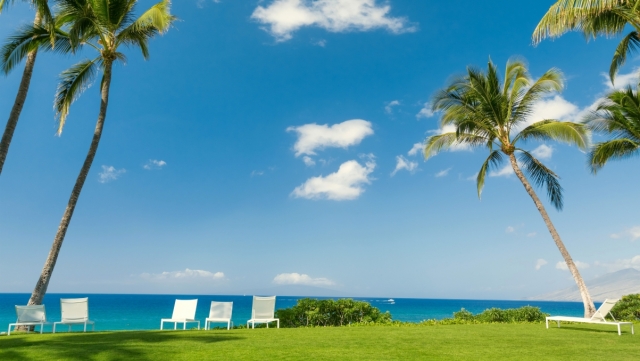 九游会园林：园林绿化美化树种