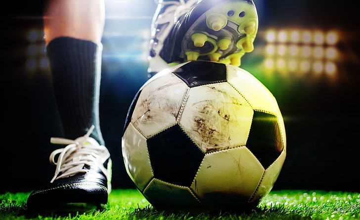 九游会集团：园林绿化养护引进