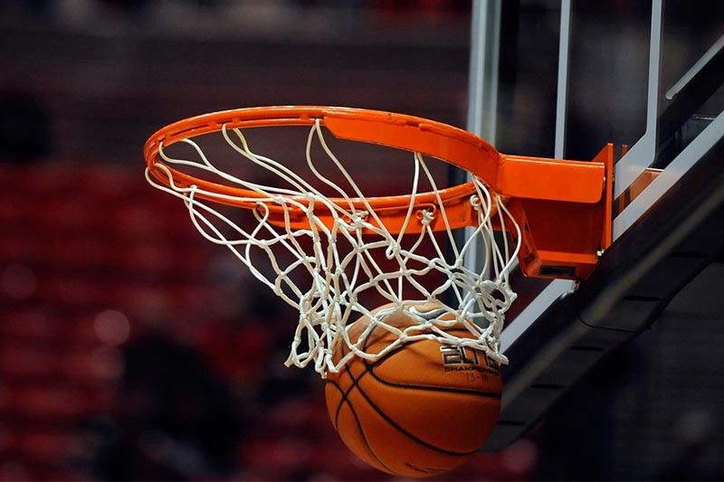 九游会J9：园林绿化冬季措施